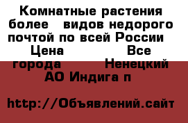 Комнатные растения более200видов недорого почтой по всей России › Цена ­ 100-500 - Все города  »    . Ненецкий АО,Индига п.